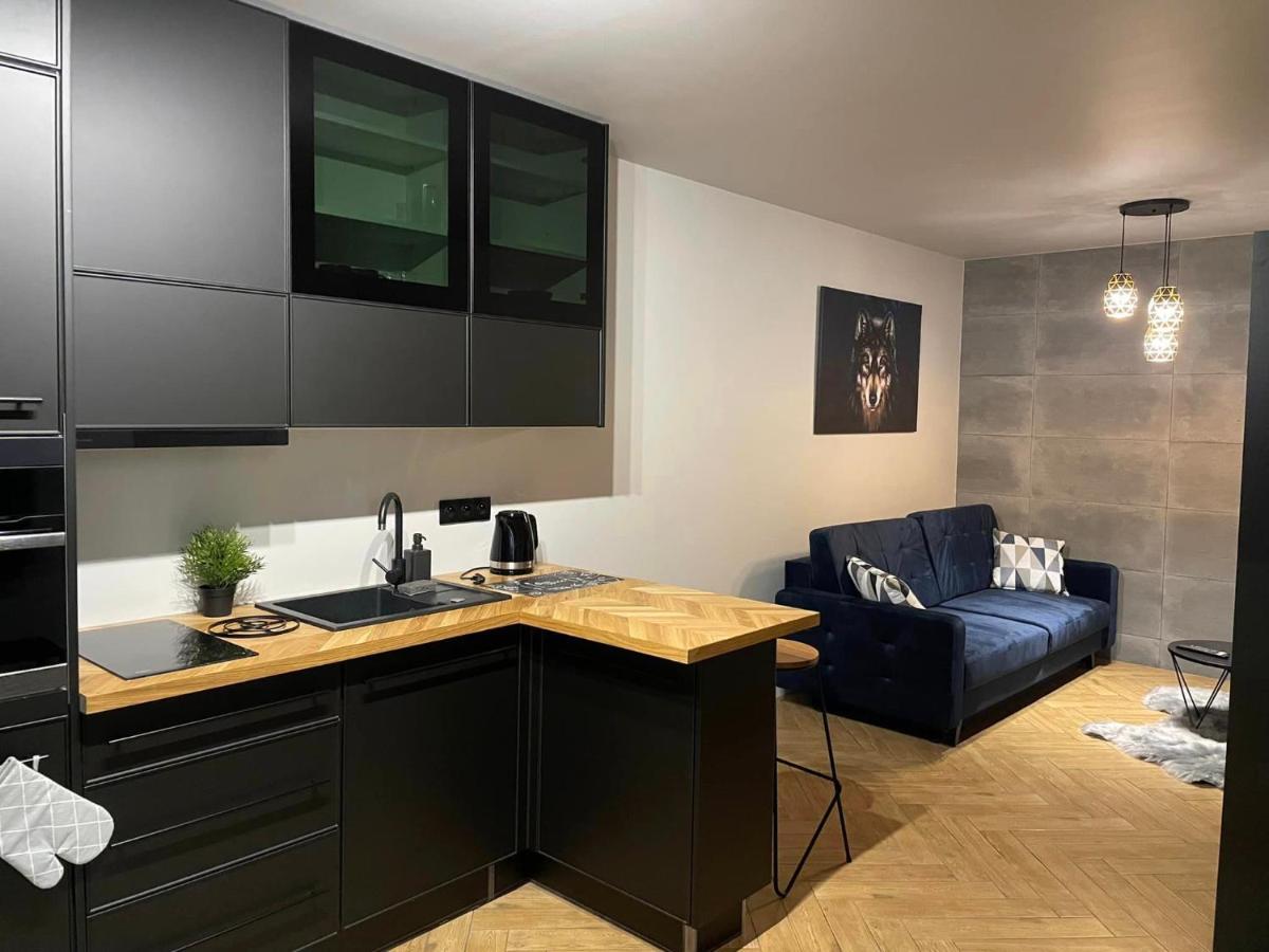 Apartment Szary Wilk - Klimatyczne Dla 2 Osob - Blisko Centrum -bezplatny Parking Zakopane