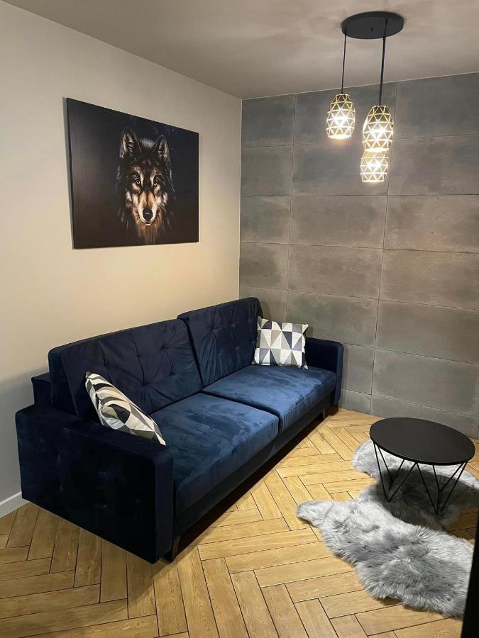 Apartment Szary Wilk - Klimatyczne Dla 2 Osob - Blisko Centrum -bezplatny Parking