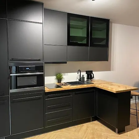 Apartamenty Szary Wilk - Klimatyczne Apartamenty Dla 2 Osob - Blisko Centrum -Bezplatny Parking Zakopane Exterior foto