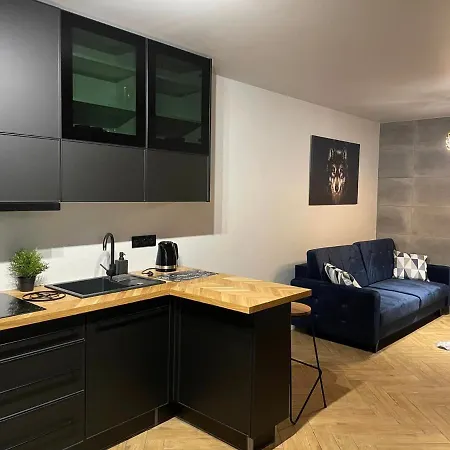 Apartamenty Szary Wilk - Klimatyczne Apartamenty Dla 2 Osob - Blisko Centrum -Bezplatny Parking Zakopane Exterior foto
