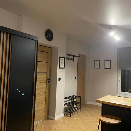 Apartamenty Szary Wilk - Klimatyczne Apartamenty Dla 2 Osob - Blisko Centrum -Bezplatny Parking Zakopane Exterior foto