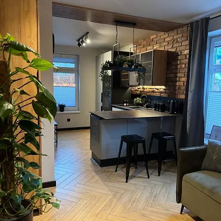 Apartamenty Szary Wilk - Klimatyczne Apartamenty Dla 2 Osob - Blisko Centrum -Bezplatny Parking Zakopane Exterior foto