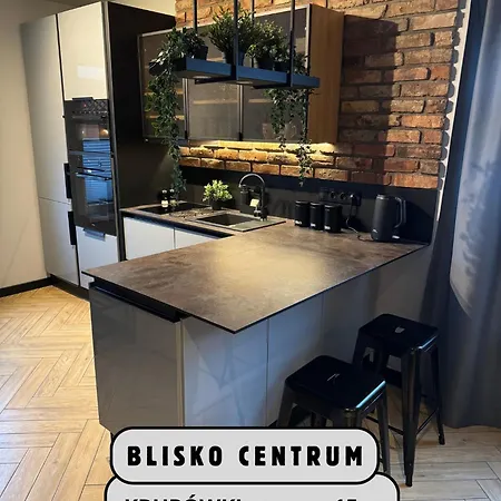 Apartamenty Szary Wilk - Klimatyczne Apartamenty Dla 2 Osob - Blisko Centrum -Bezplatny Parking Zakopane Exterior foto